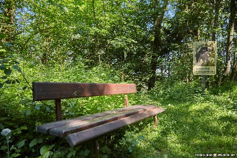 Gemeinde Waldkraiburg Landkreis Mühldorf Ebing Urelefant Zugang 2009 (Dirschl Johann) Deutschland MÜ